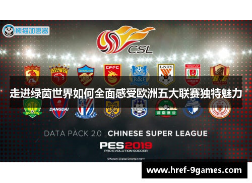 走进绿茵世界如何全面感受欧洲五大联赛独特魅力 走进绿茵世界如何全面感受欧洲五大联赛独特魅力