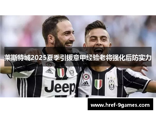 莱斯特城2025夏季引援意甲经验老将强化后防实力